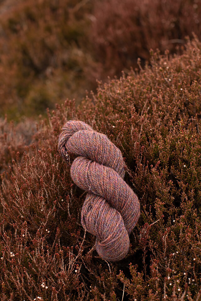 Alice Starmore 2 Ply Hebridean hand knitting yarn in Capercaille