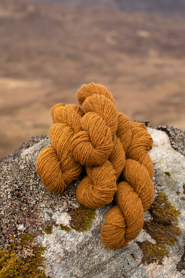 Alice Starmore 2 Ply Hebridean hand knitting yarn in Golden Plover