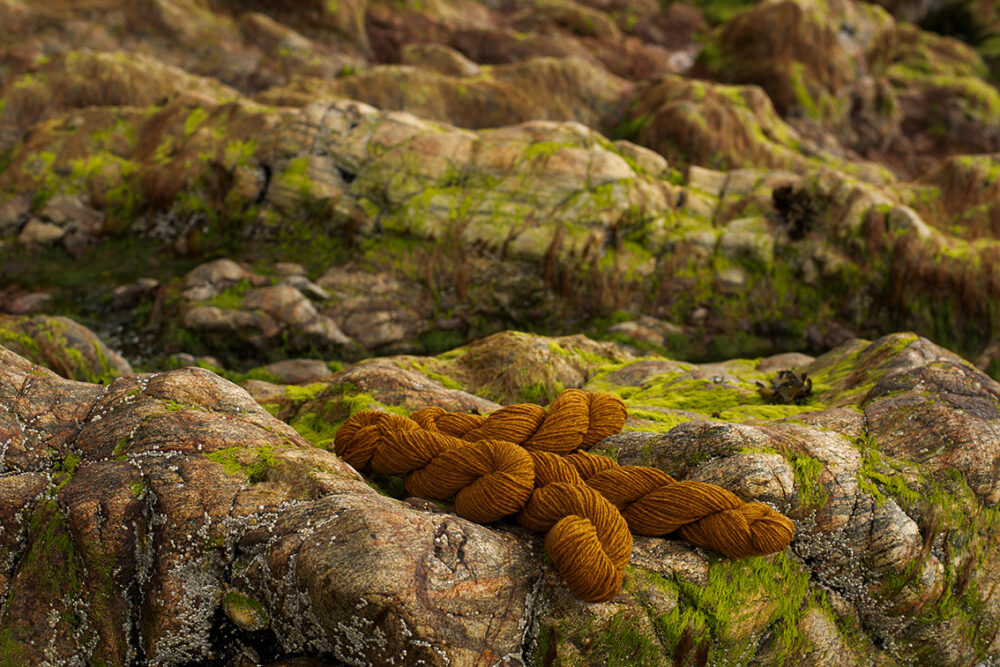 Alice Starmore Hebridean 3 Ply pure new British wool hand knitting Yarn in Golden Plover colour