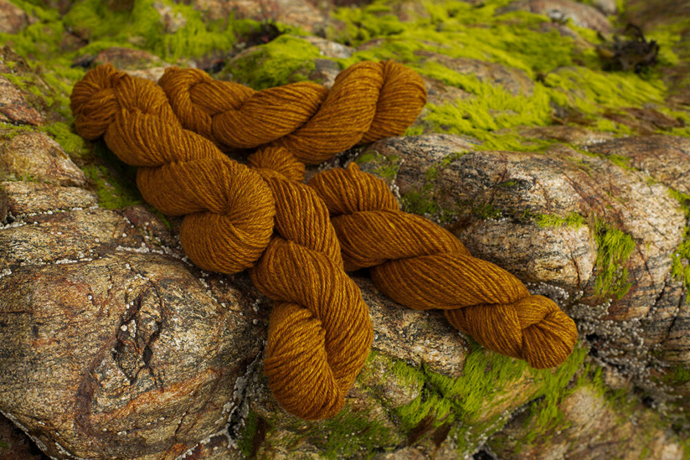 Alice Starmore Hebridean 3 Ply pure new British wool hand knitting Yarn in Golden Plover colour