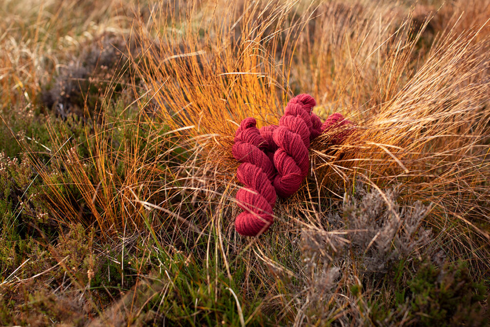 Alice Starmore 2 Ply Hebridean hand knitting yarn in Red Rattle