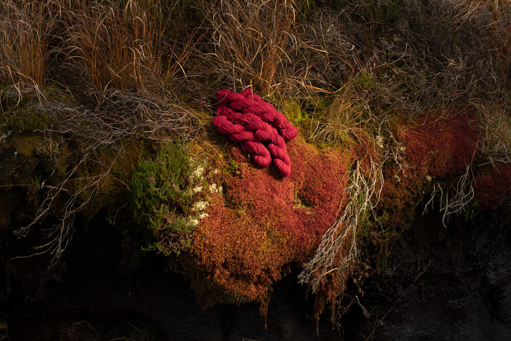 Alice Starmore 2 Ply Hebridean hand knitting yarn in Red Rattle