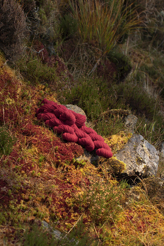 Alice Starmore 2 Ply Hebridean hand knitting yarn in Red Rattle