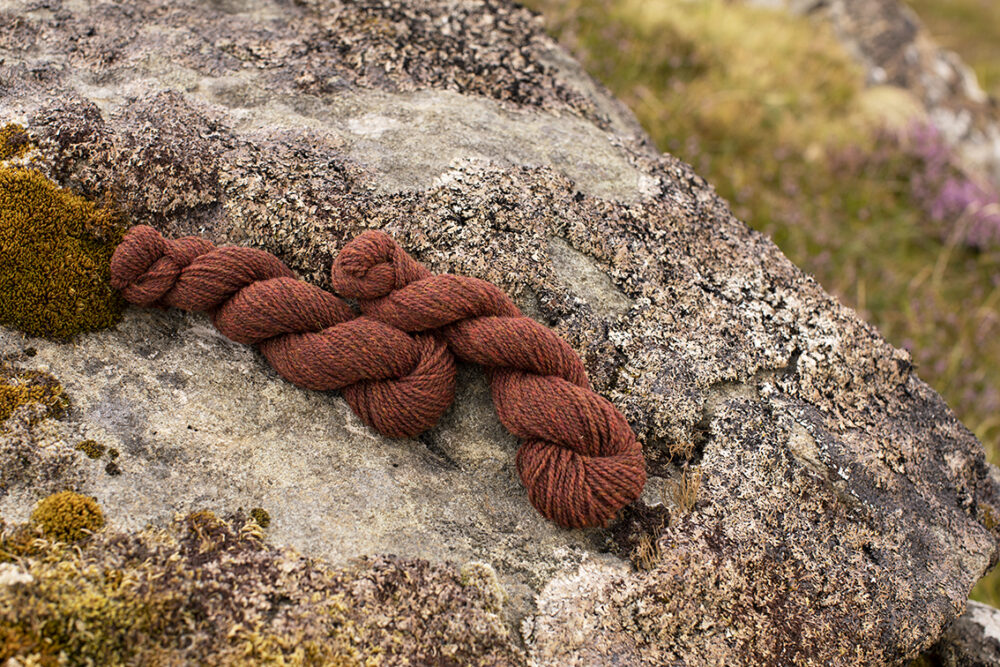 Alice Starmore 2 Ply Hebridean hand knitting yarn in Tormentil