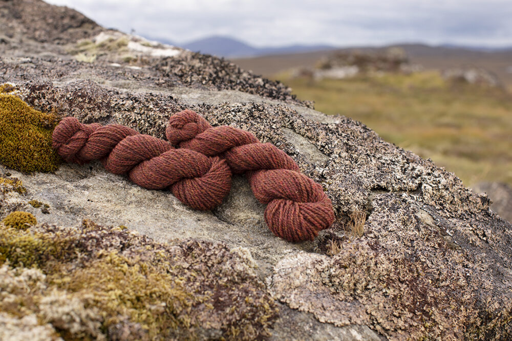 Alice Starmore 2 Ply Hebridean hand knitting yarn in Tormentil