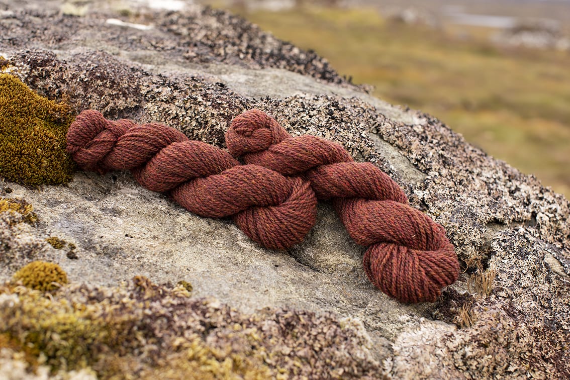 Alice Starmore 2 Ply Hebridean hand knitting yarn in Tormentil