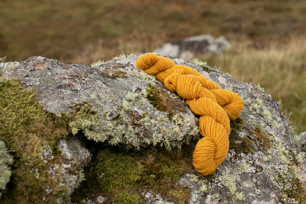 Alice Starmore 2 Ply Hebridean hand knitting yarn in Whin