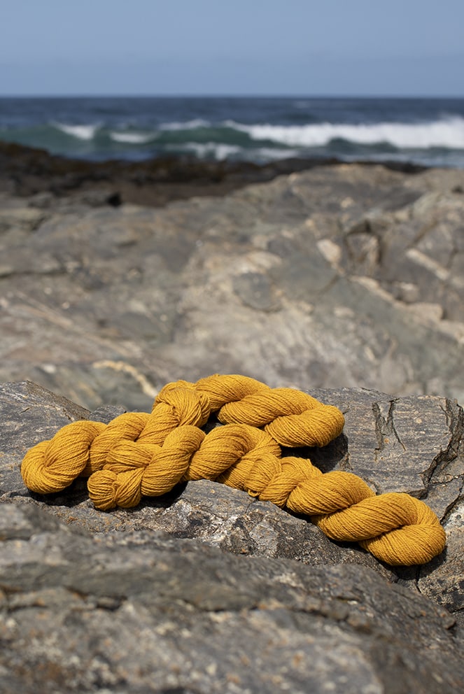 Alice Starmore 2 Ply Hebridean hand knitting yarn in Whin