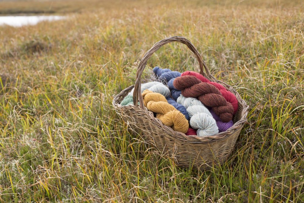 Alice Starmore 3 Ply Hebridean Yarn in the Lewis landscape