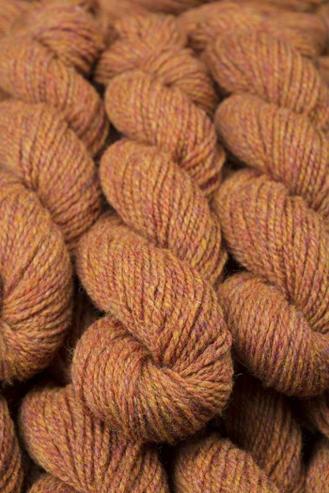 Alice Starmore Hebridean 2 Ply pure new British wool hand knitting Yarn in Sundew colour