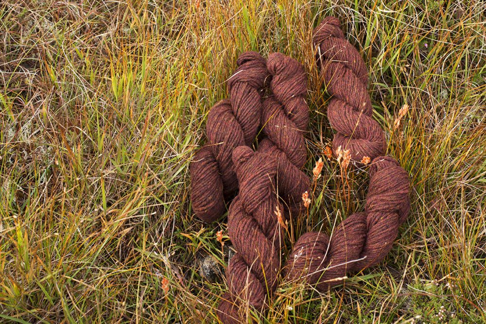 Alice Starmore Hebridean 3 Ply pure new British wool hand knitting Yarn in Tormentil colour