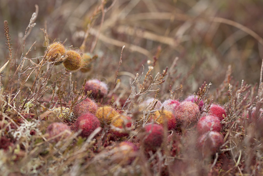 Felted buttons from Glamourie by Alice Starmore, made in Hebridean 2 Ply yarn