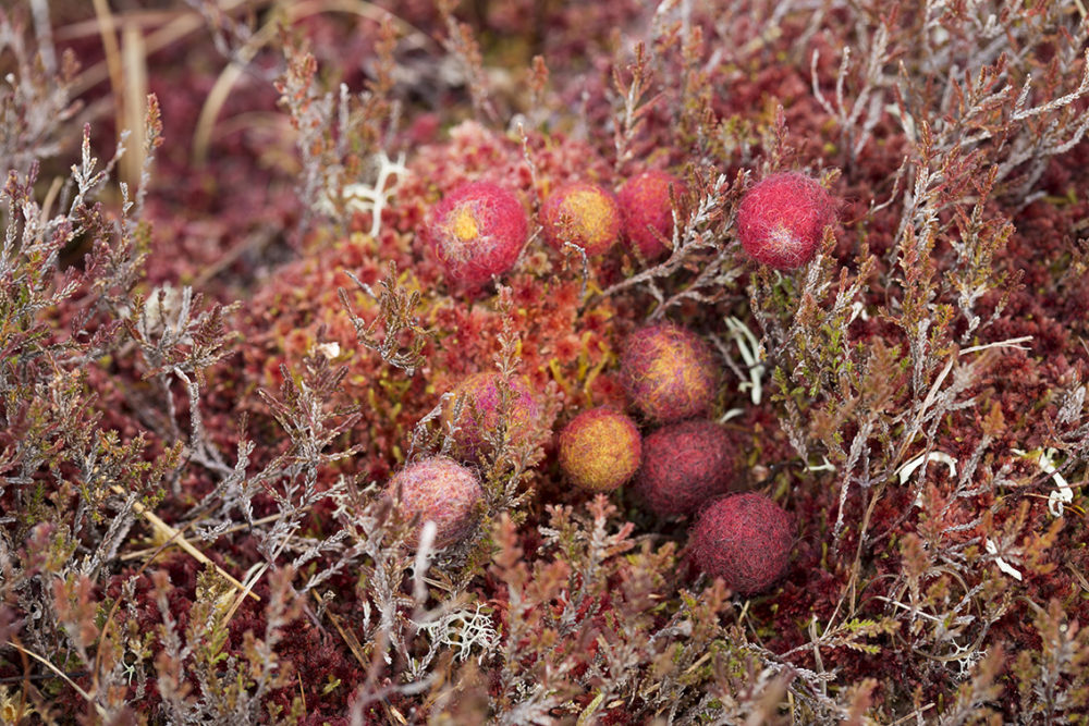 Felted buttons from Glamourie by Alice Starmore, made in Hebridean 2 Ply yarn