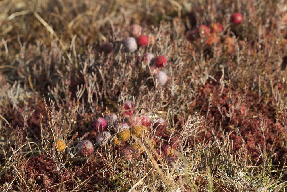 Felted buttons from Glamourie by Alice Starmore, made in Hebridean 2 Ply yarn