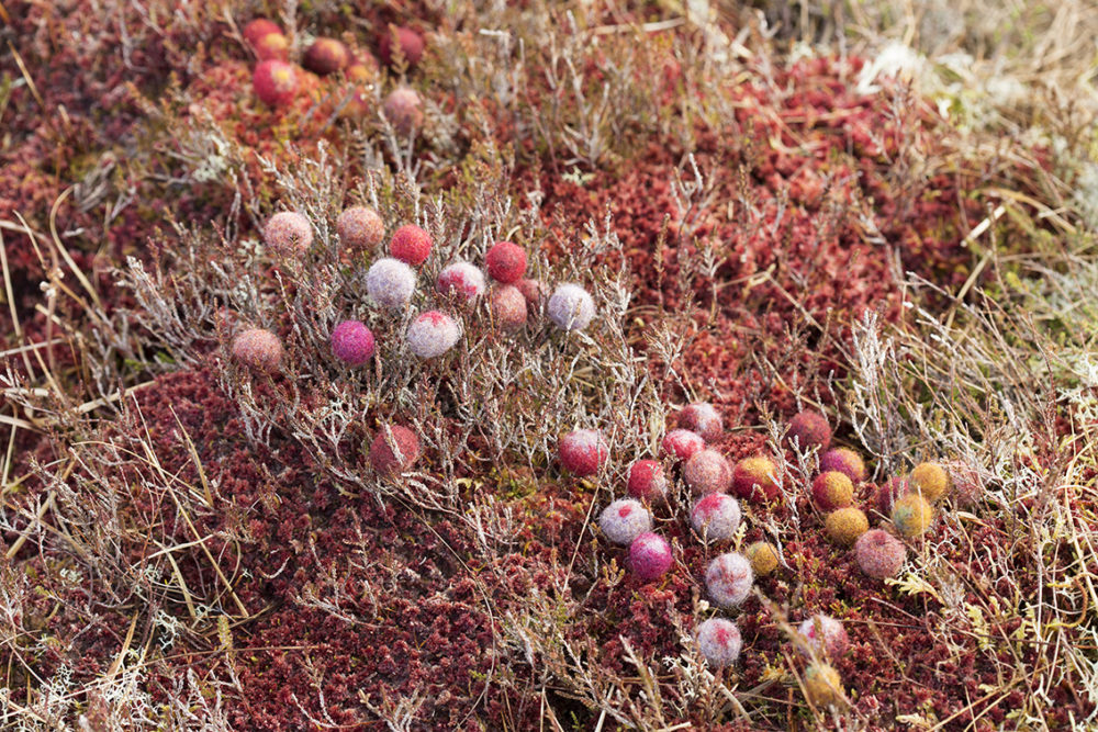 Felted buttons from Glamourie by Alice Starmore, made in Hebridean 2 Ply yarn