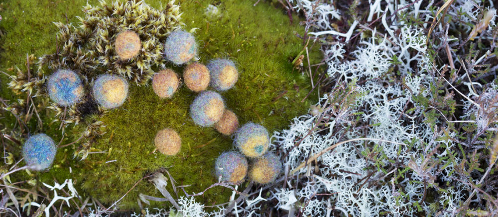 Felted buttons from Glamourie by Alice Starmore, made in Hebridean 2 Ply yarn