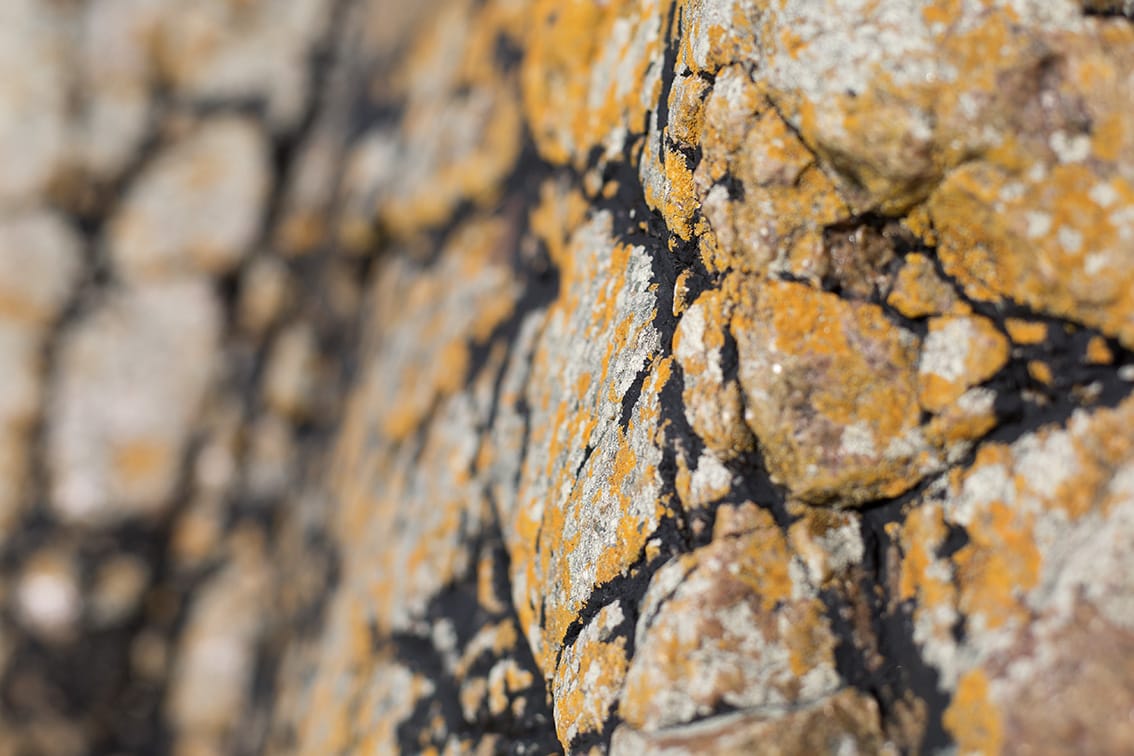 Interesting shoreline rocks at a Hebridean cliff foot beach