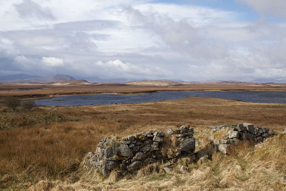 Lewis moorland in winter