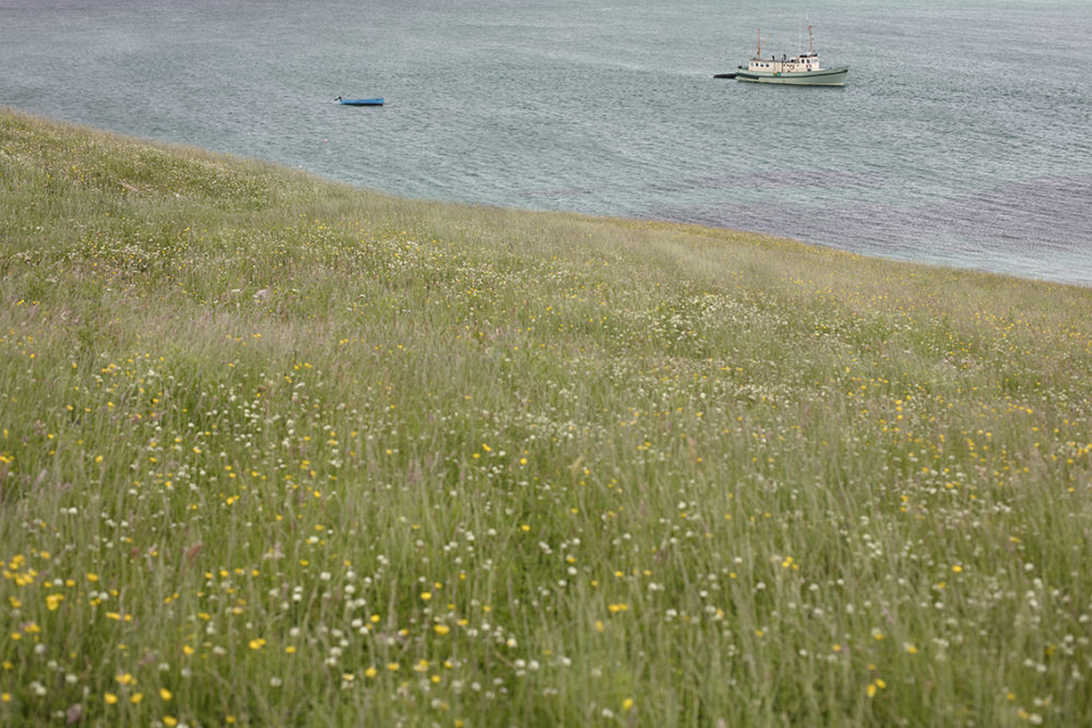 The Cuma anchored off Scarp