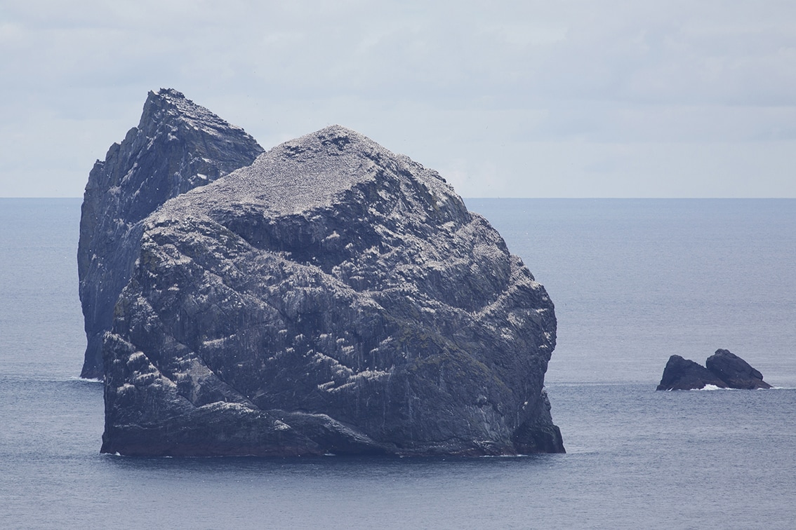 St Kilda Stacks