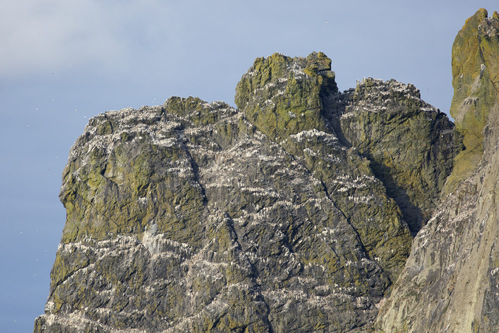 Boreray