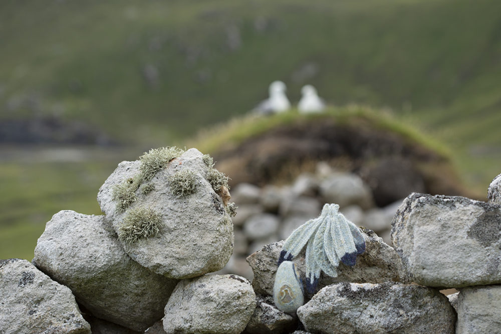 The House of the Feathers, Sketches in Wool by Alice Starmore