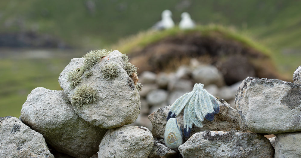 The House of the Feathers, Sketches in Wool by Alice Starmore
