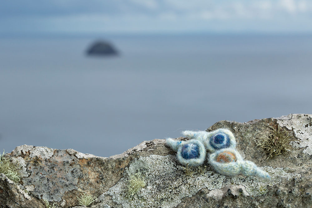 The Queen of the Waves, Sketches in Wool by Alice Starmore