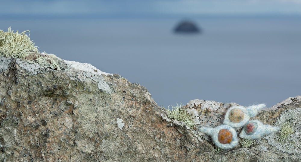 The Queen of the Waves, Sketches in Wool by Alice Starmore