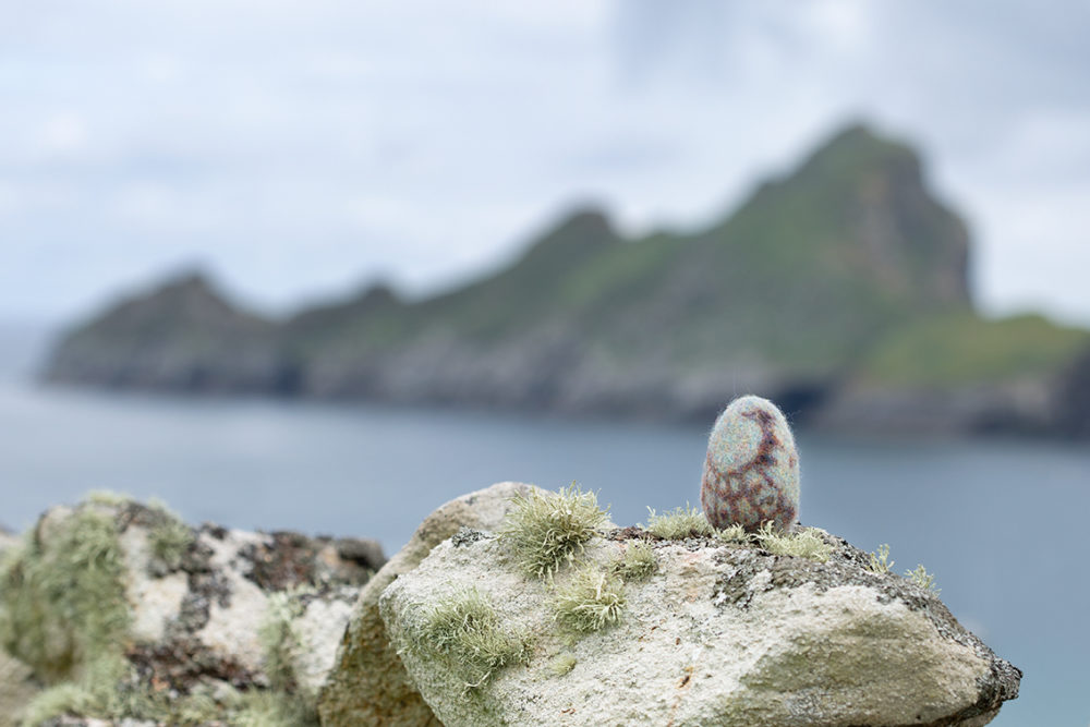 The House of the Feathers, Sketches in Wool by Alice Starmore