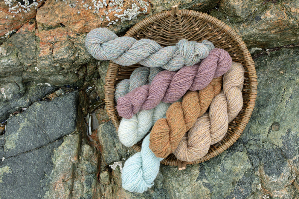 Lapwing Collar patterncard knitwear design by Alice Starmore in pure wool Hebridean 2 Ply hand knitting yarn