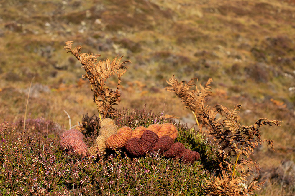 Hebridean 2 Ply Moorland Colours by Alice Starmore