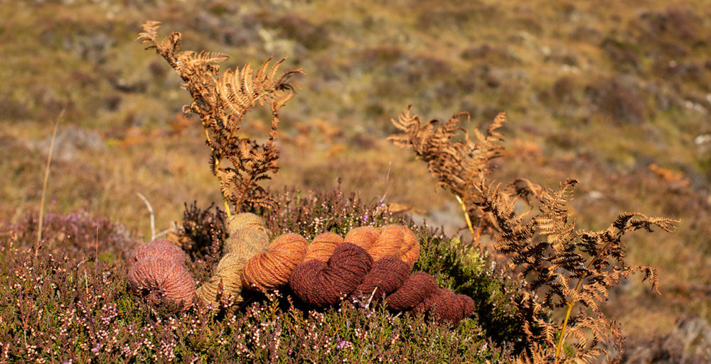 Hebridean 2 Ply Moorland Colours by Alice Starmore