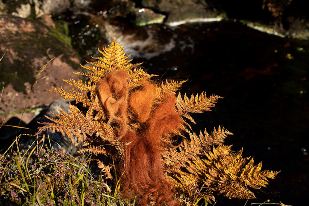 Moorland Colours by Alice Starmore
