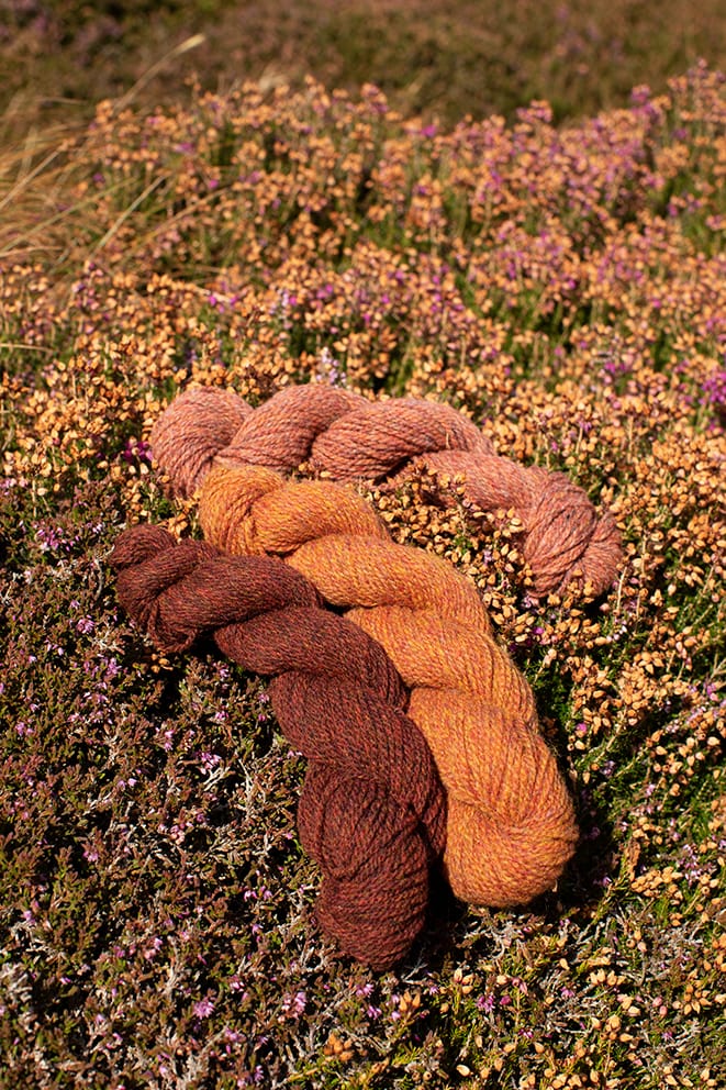 Hebridean 2 Ply Moorland Colours by Alice Starmore