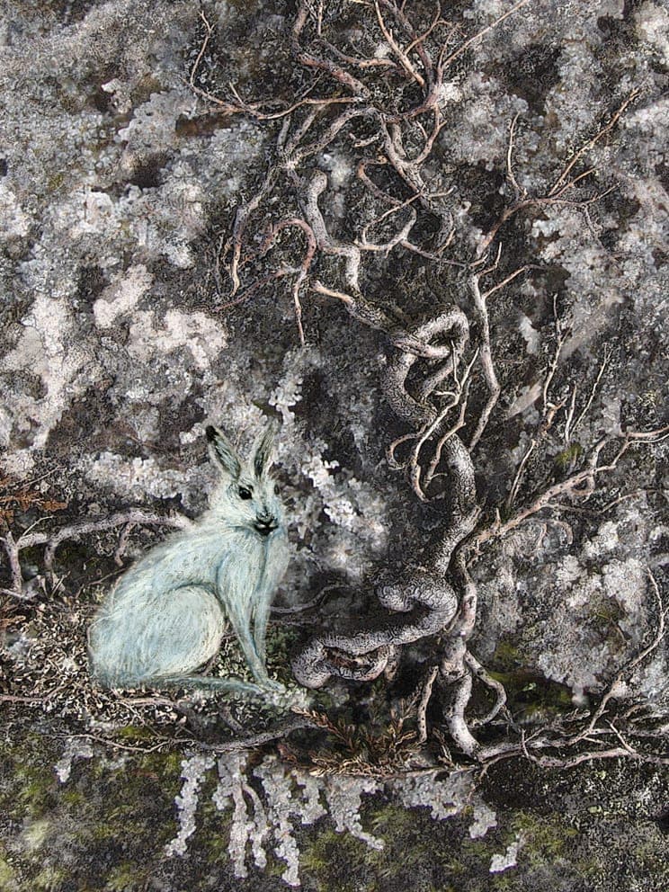 The Witch Hare by Alice Starmore