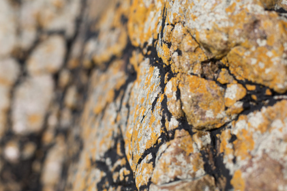 Landscape imagery by Jade Starmore