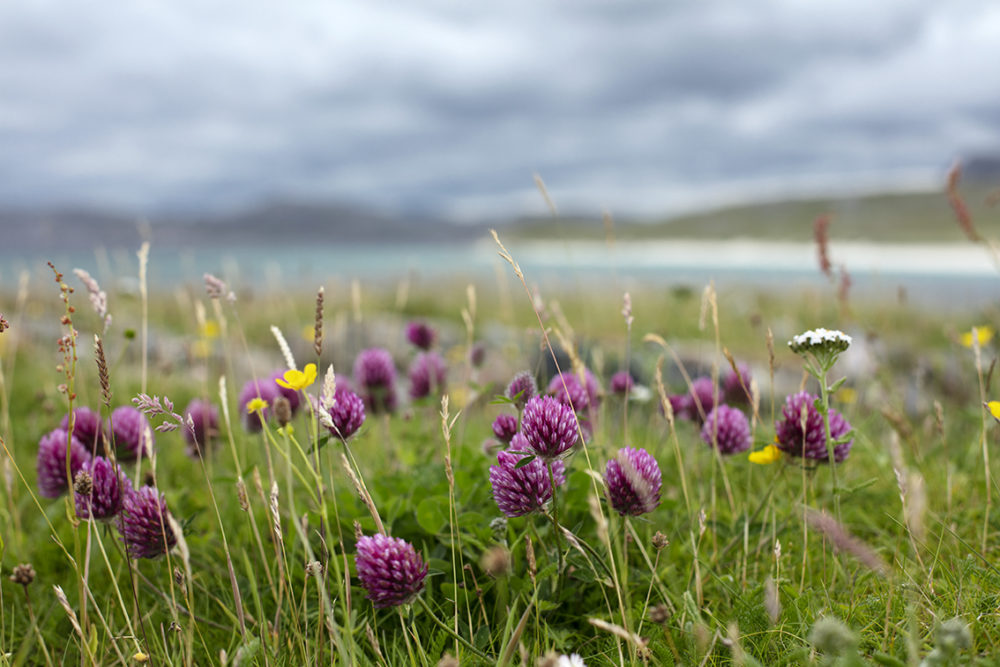 Landscape imagery by Jade Starmore