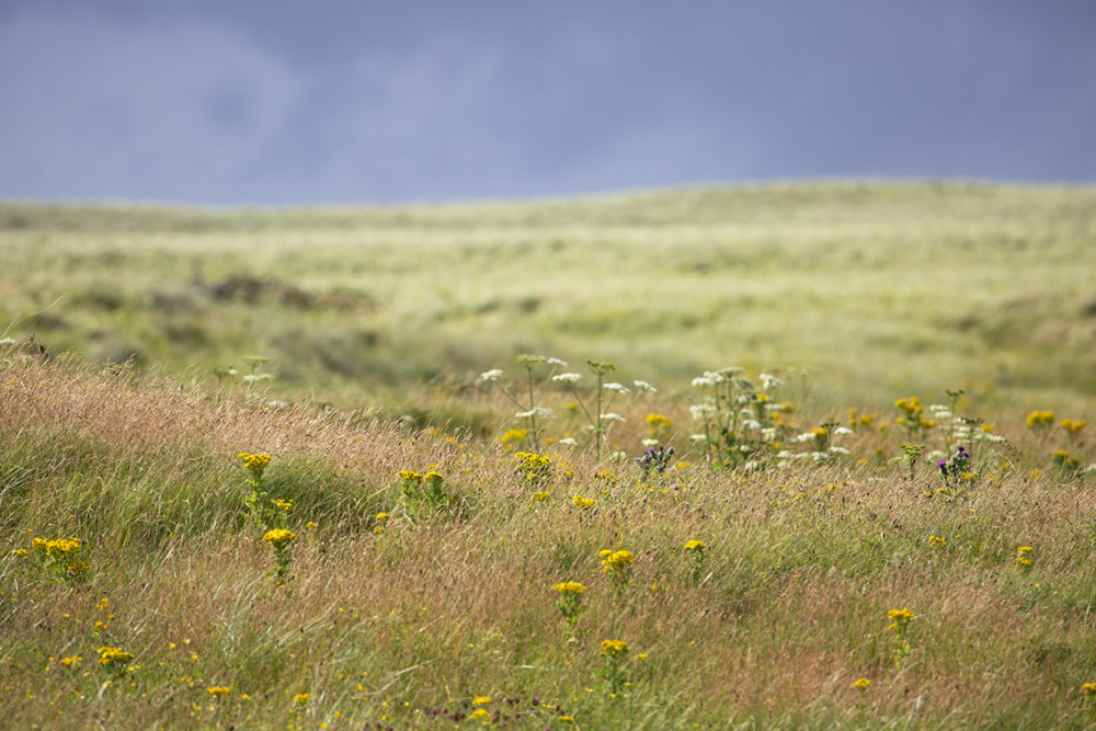 Landscape imagery by Jade Starmore
