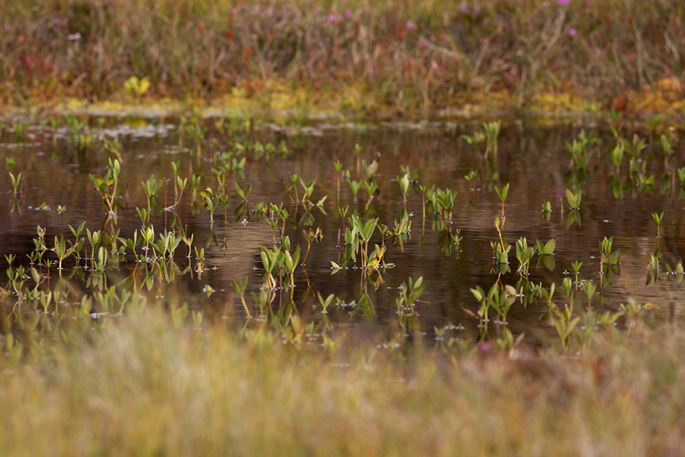 Landscape imagery by Jade Starmore