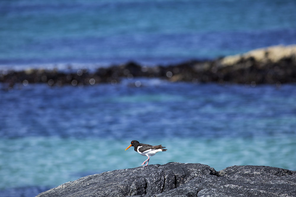 Landscape imagery by Jade Starmore