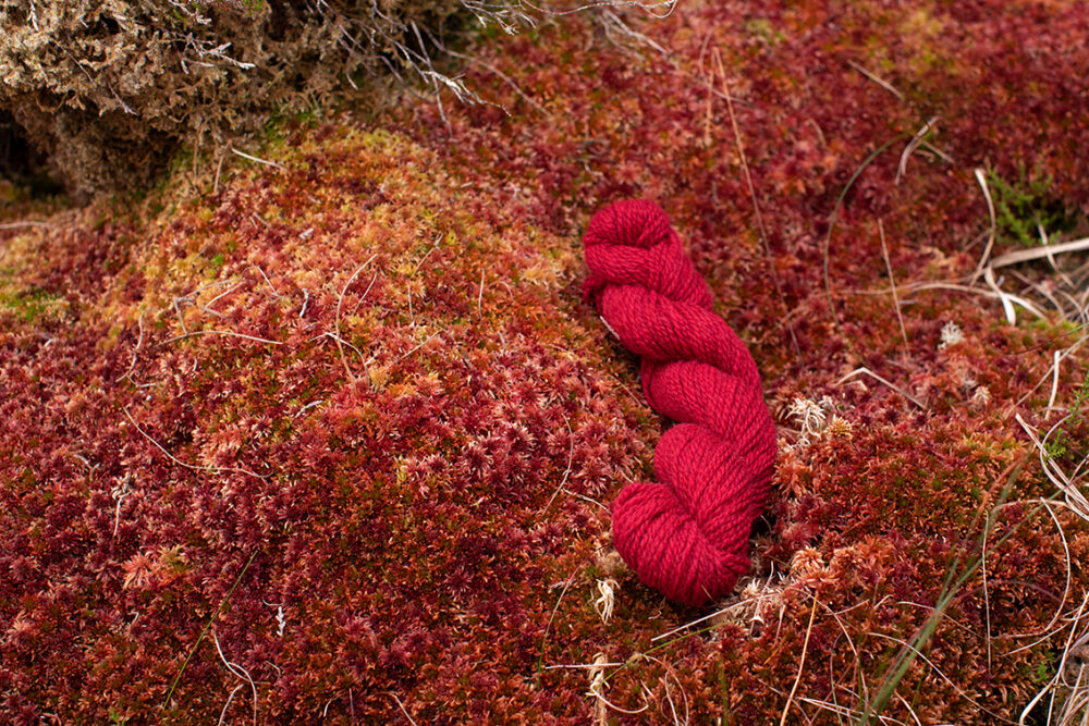 Alice Starmore 2 Ply Hebridean hand knitting yarn in Red Rattle