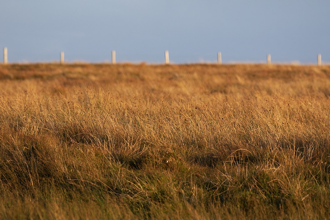 Changing Seasons on the croft and garden