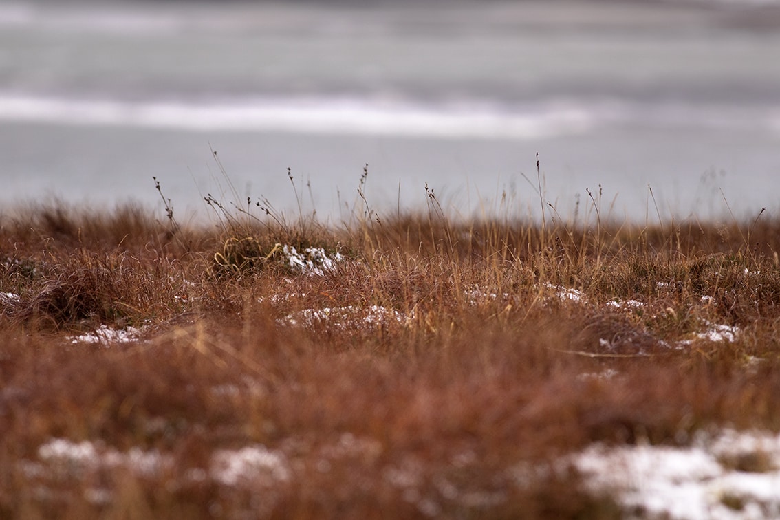 Changing Seasons on the croft and garden