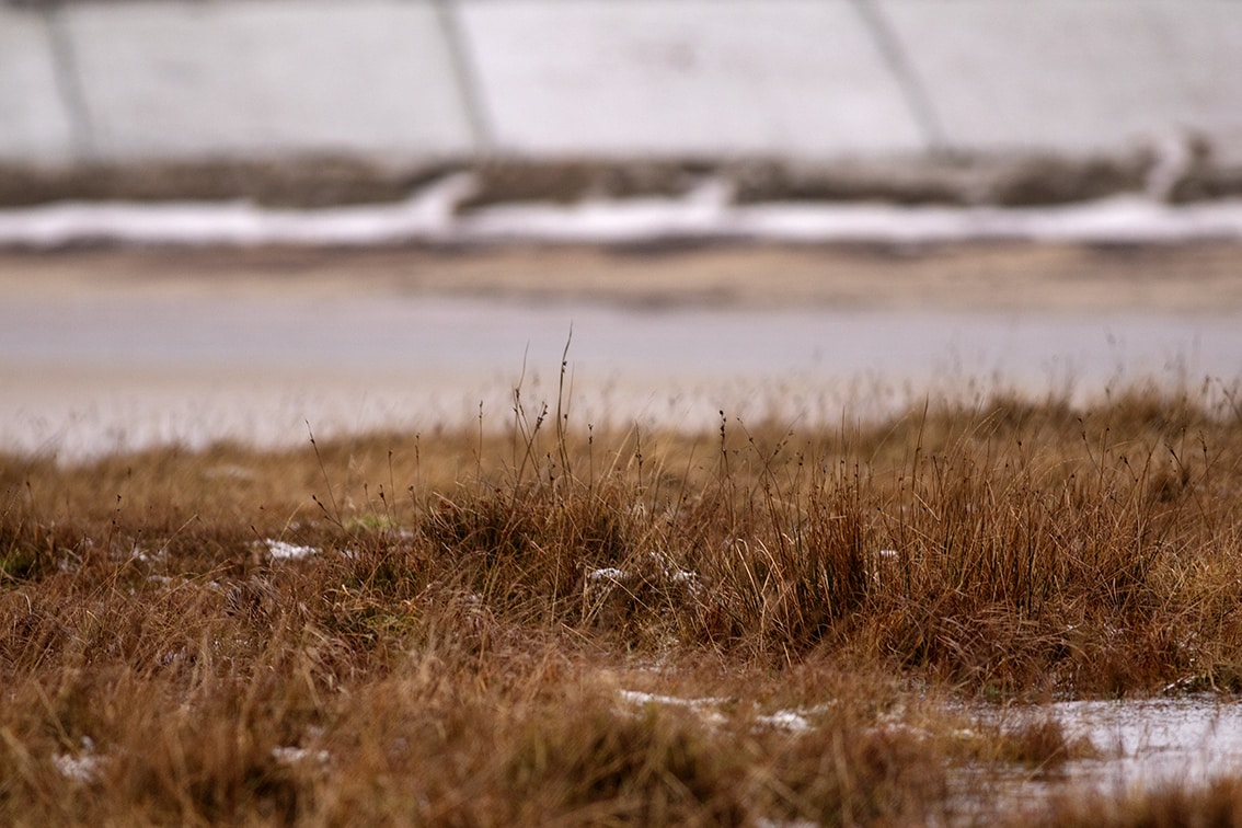 Changing Seasons on the croft and garden