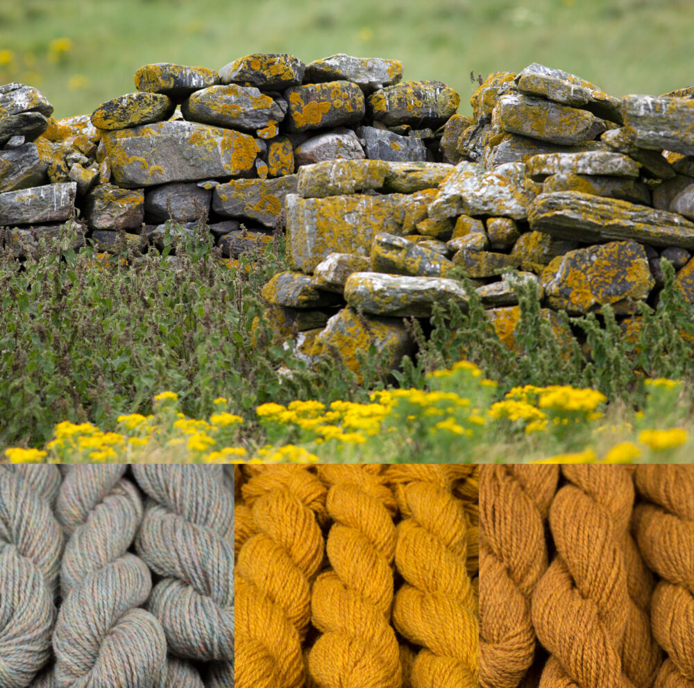 Virtual Yarns - Home of Alice Starmore Yarns and Designs