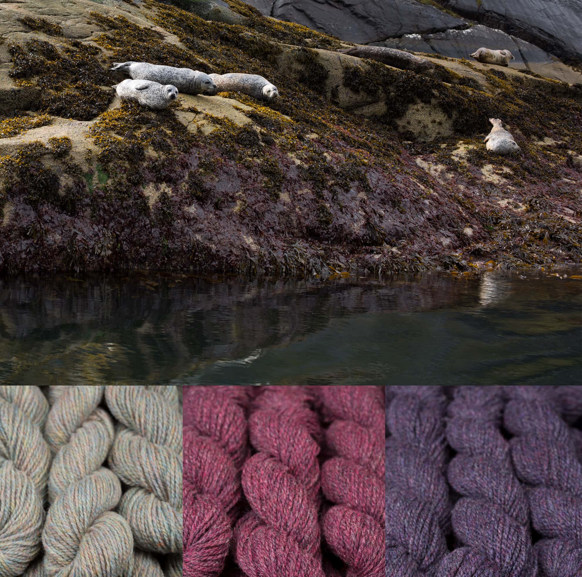 Virtual Yarns - Home of Alice Starmore Yarns and Designs