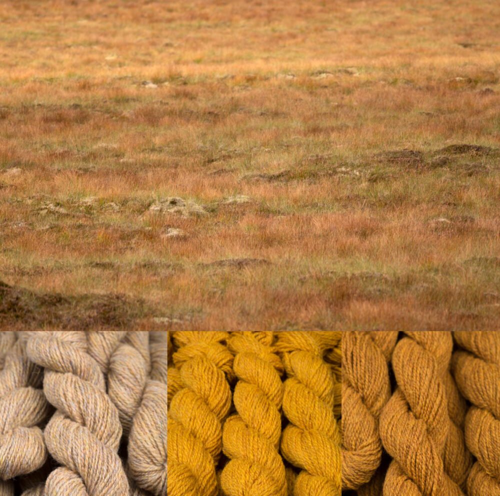Virtual Yarns - Home of Alice Starmore Yarns and Designs