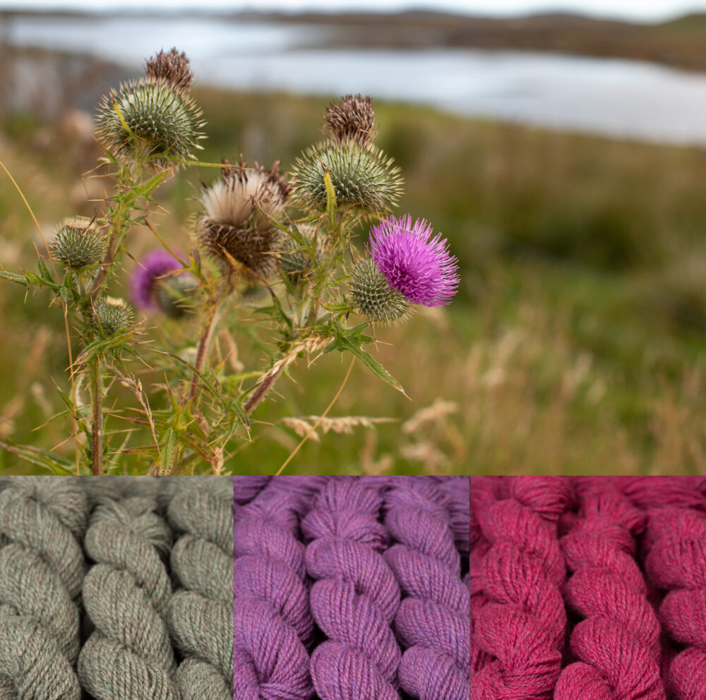 Virtual Yarns - Home of Alice Starmore Yarns and Designs