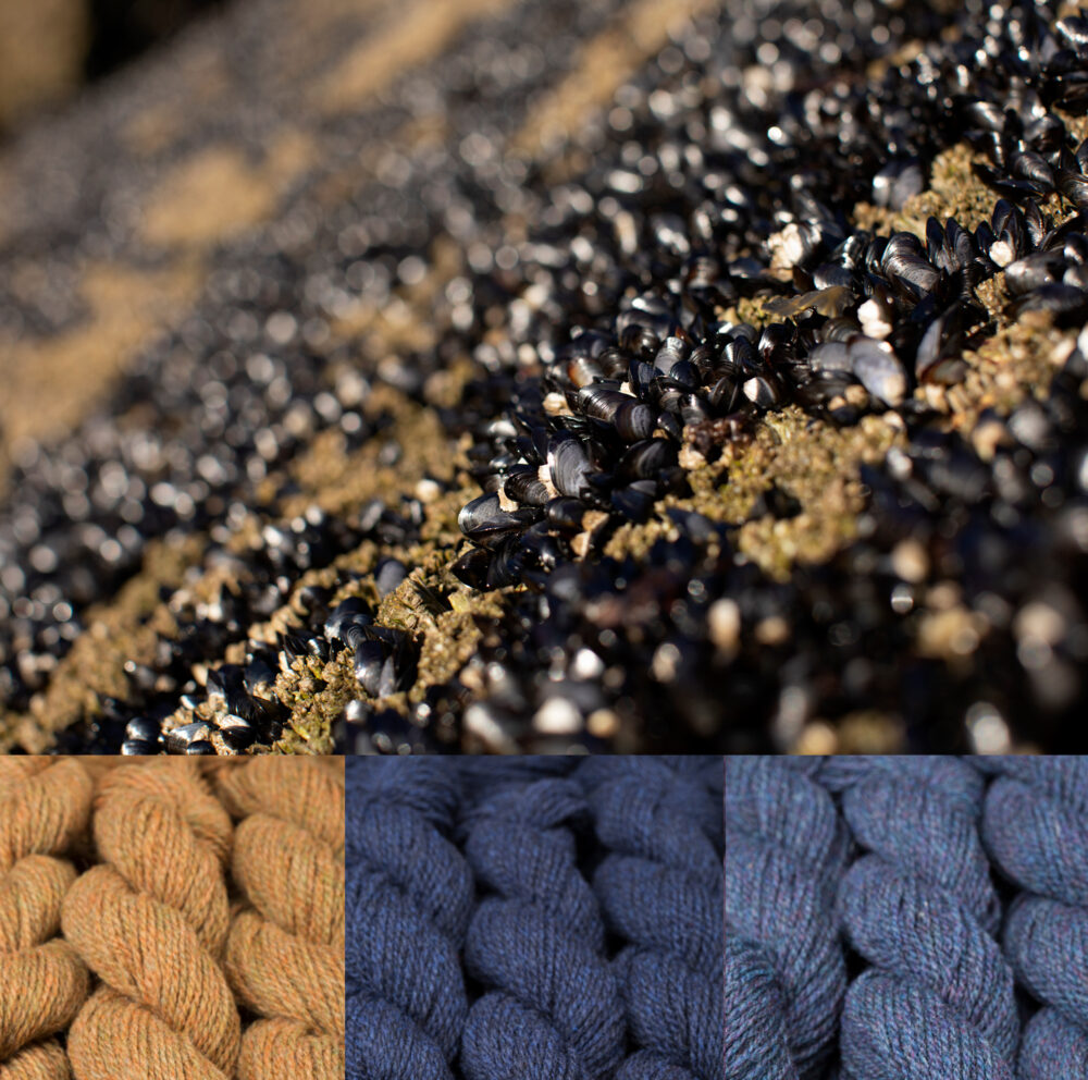 Virtual Yarns - Home of Alice Starmore Yarns and Designs